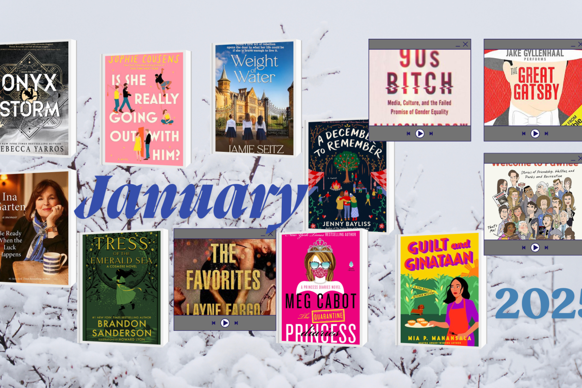 Picture shows all the books I read in January.